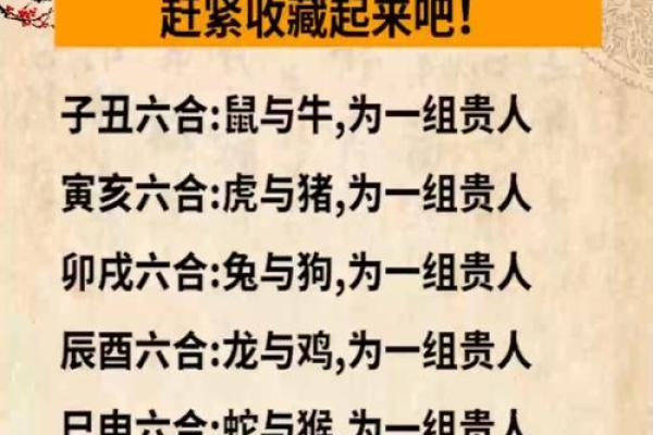 最准的12生肖配对表