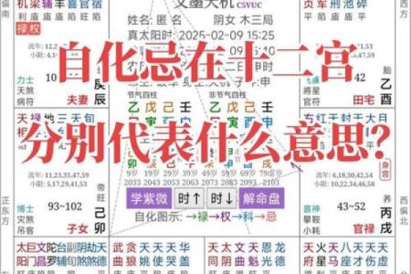 紫薇斗数生年自化