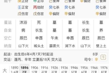 八字食才