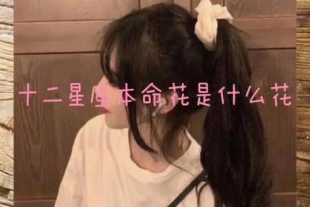 哪些花朵适合十二星座的专属