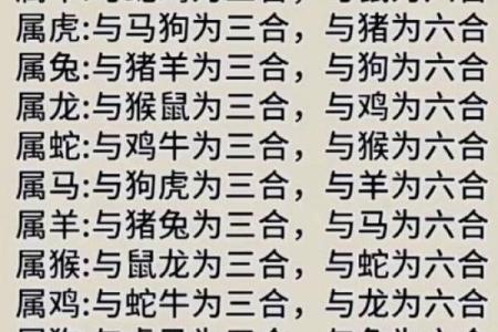 最准的12生肖配对表