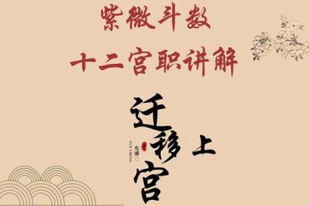 夫之迁紫薇斗数