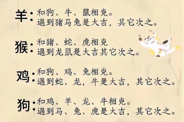 属狗正缘出现在哪年 属狗人婚姻配对表