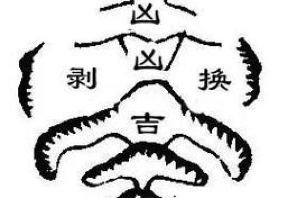 神龙风水攻略