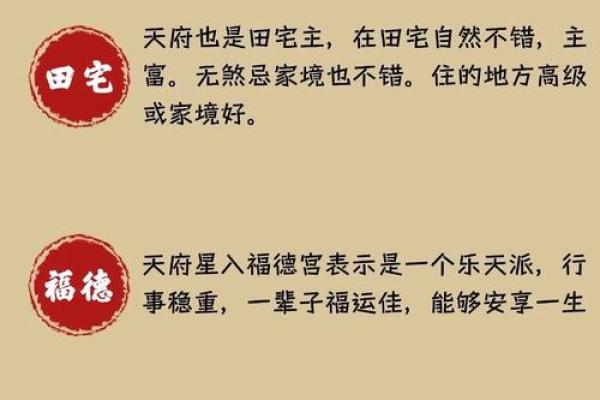 紫薇斗数桃花宫