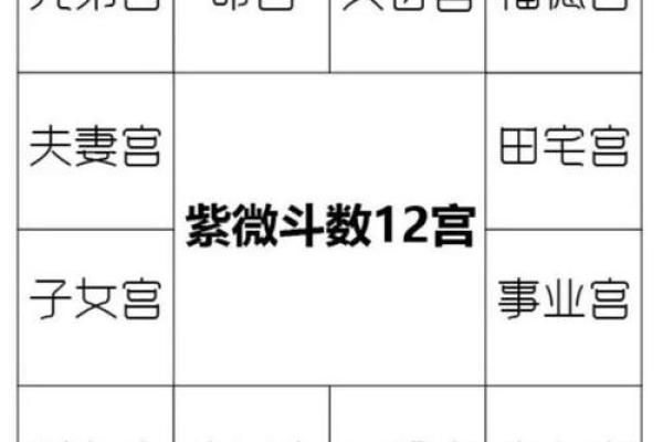 紫微斗数天相星在事业宫的解析 #东方星象学