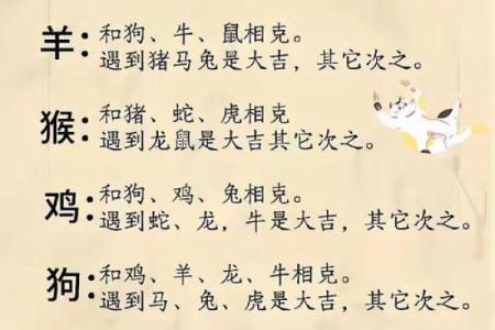 属狗正缘出现在哪年 属狗人婚姻配对表