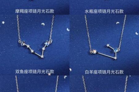十二星座银项链，点亮你的星座能量！