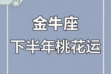 今年下半年哪个星座运势更好