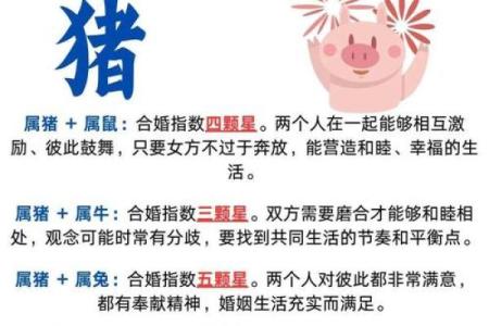 91年属什么生肖配对结婚 91年属什么动物