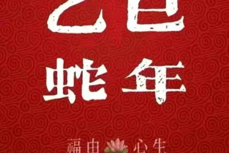 属蛇出生最好六个吉日 属蛇的出生吉日