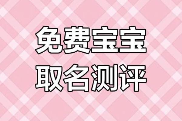 名字免费测试查询 免费测试查询名字