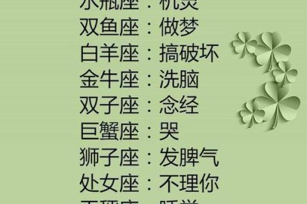 十二星座最适合什么功夫