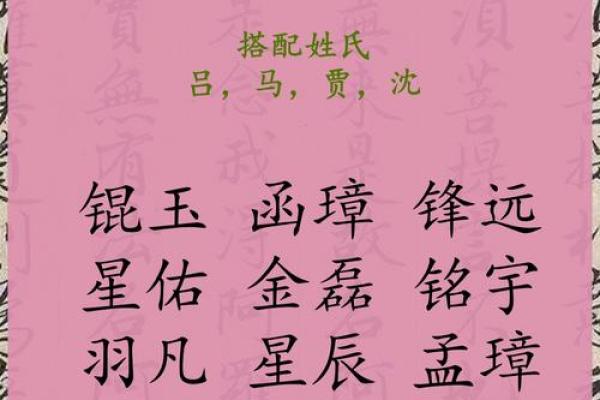 2019年3月22号酉时出生的男孩应该起什么样的名字姓名