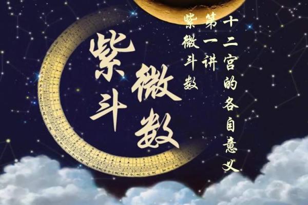 紫薇斗数里遇是什么意思