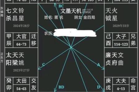 紫微斗数紫薇星在疾厄宫