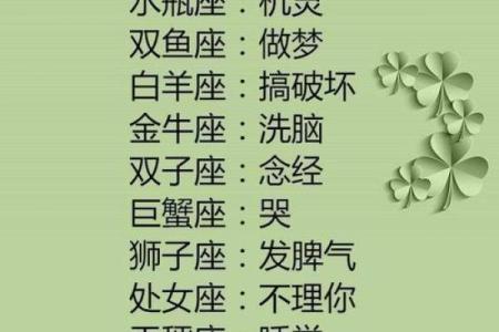 十二星座最适合什么功夫