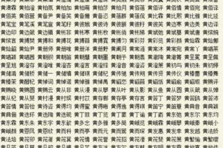 2019年3月22号酉时出生的男孩应该起什么样的名字姓名