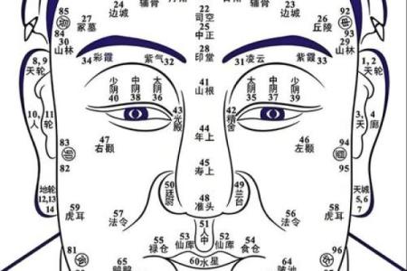 面部上的胎记算命分析
