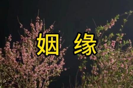 qq号姻缘