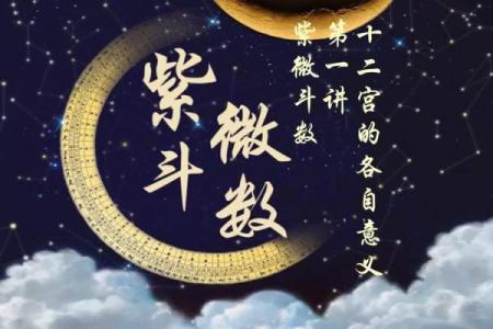 紫薇斗数里遇是什么意思