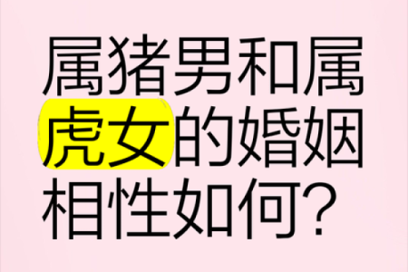 猪跟什么生肖配对最好 生肖猪最佳配对