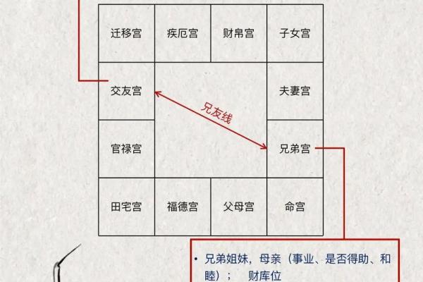 如何查紫薇斗数
