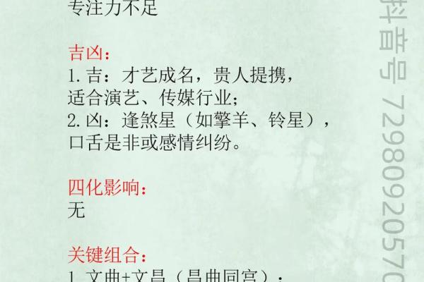庄氏紫微斗数入门基础知识 庄氏资料？