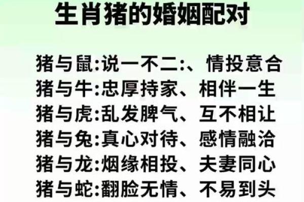 婚姻属相配对大全很准