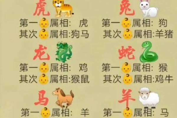 龙生肖配对大揭秘，十二生肖知识详解