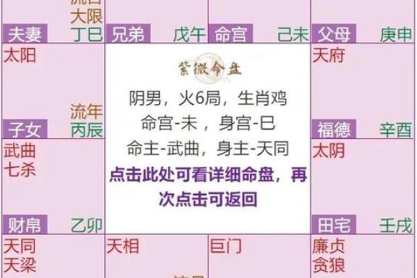 紫微斗数案例13姻缘：夫妻宫无主星，桃花太旺伤婚姻的命盘