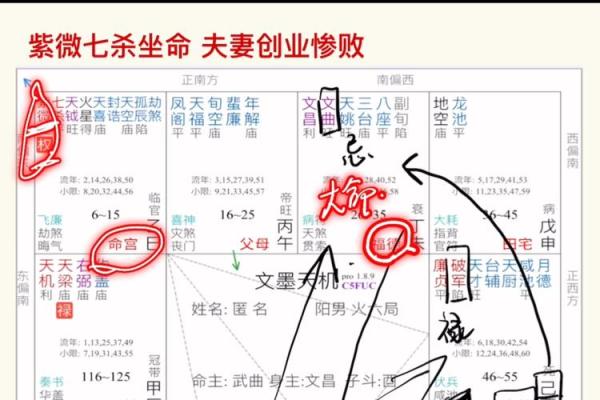 适合外地创业紫薇斗数