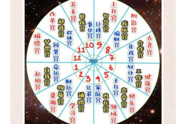 女命八字夫宫在哪