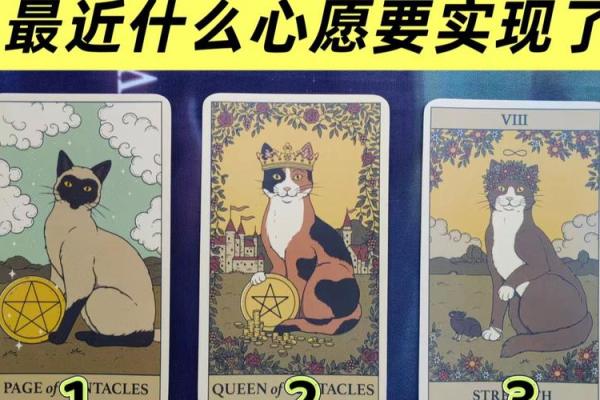 塔罗测试：年后，你的事业发展？