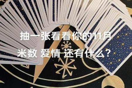 塔罗牌测试：未来一个月，你的桃花能翻红吗？