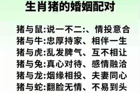 婚姻属相配对大全很准