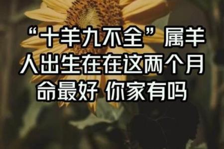 属羊出生最好六个吉日 属羊的出生吉日