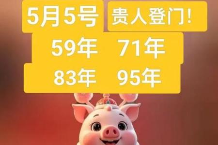 属猪的2024年结婚什么时候好 结婚吉日查询