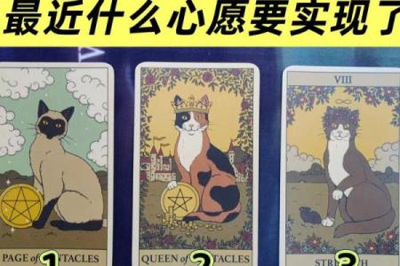 塔罗测试：年后，你的事业发展？