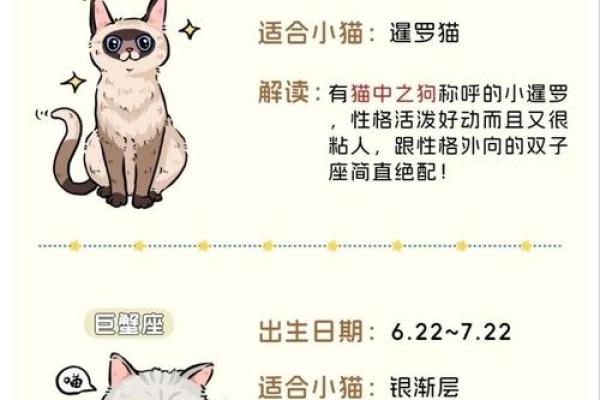 十二星座什么地方适合养猫