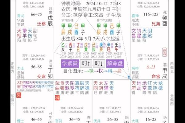 南京紫薇斗数