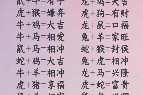 属龙和属鼠的八字合吗