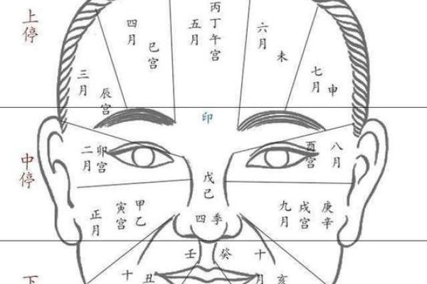 有关印堂面相算命图解