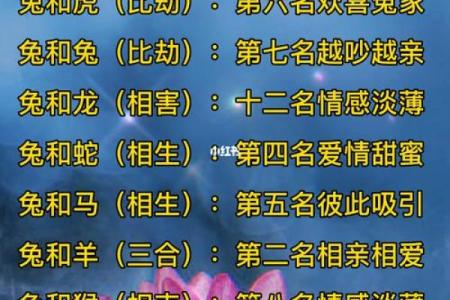 属相婚配表配对查询