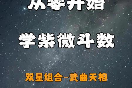 紫薇斗数与12星座