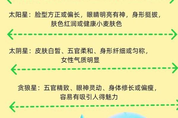 紫薇圣人八字的简单介绍