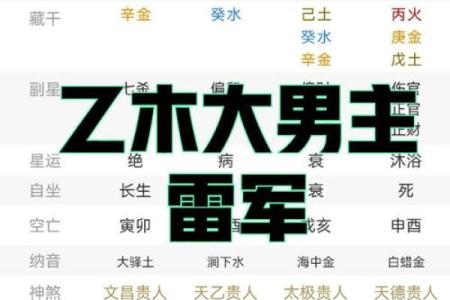 八字乙丑
