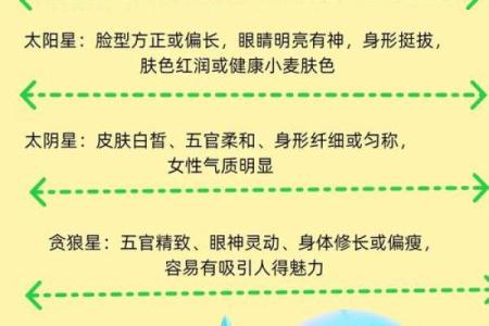 紫薇圣人八字的简单介绍