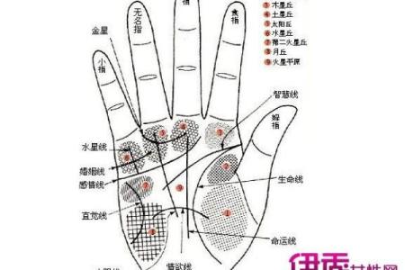 葫芦岛算命大全