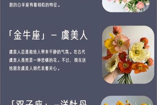 十二星座代表花都有哪些呢